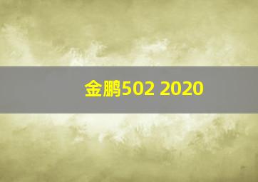 金鹏502 2020